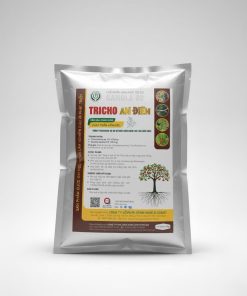 TRICHO AN ĐIỀN - Trichodema Đại Học Nông Lâm