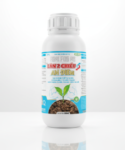 Lân 2 Chiều An Điền - Tạo Kháng Thể Tự Nhiên, Phòng Bệnh Từ Bên Trong